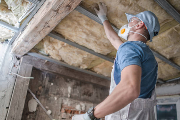 Best Eco-Friendly Insulation in Deadwood, SD